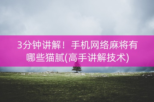 3分钟讲解！手机网络麻将有哪些猫腻(高手讲解技术)