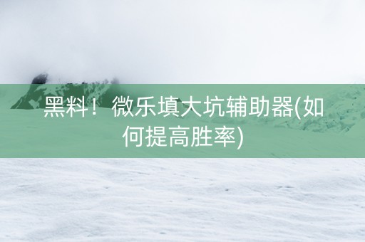 黑料！微乐填大坑辅助器(如何提高胜率)