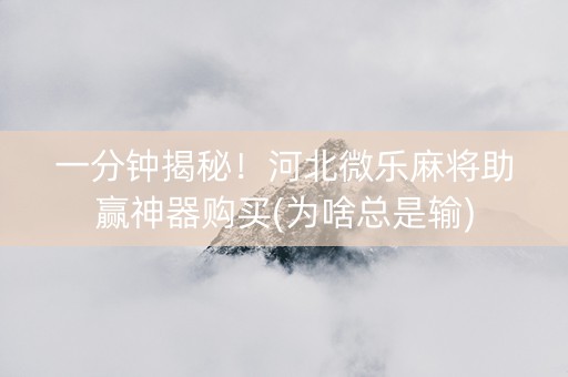 一分钟揭秘！河北微乐麻将助赢神器购买(为啥总是输)