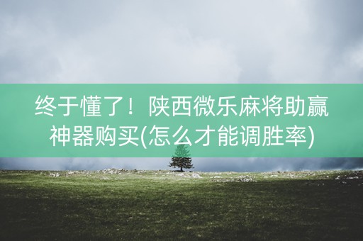 终于懂了！陕西微乐麻将助赢神器购买(怎么才能调胜率)