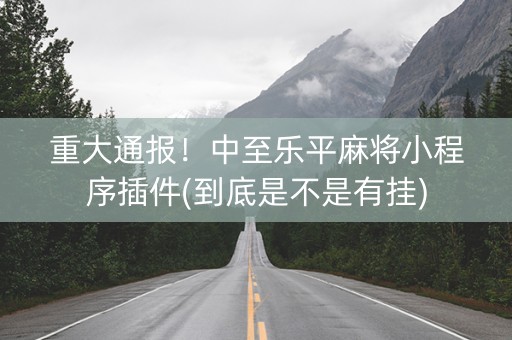 重大通报！中至乐平麻将小程序插件(到底是不是有挂)