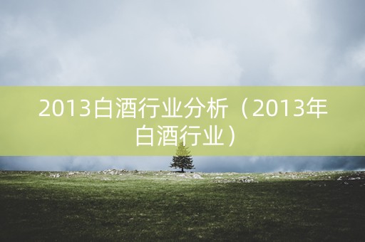 2013白酒行业分析（2013年白酒行业）