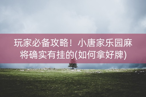 玩家必备攻略！小唐家乐园麻将确实有挂的(如何拿好牌)