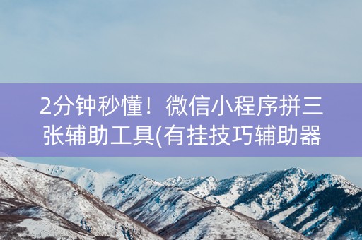 2分钟秒懂！微信小程序拼三张辅助工具(有挂技巧辅助器)