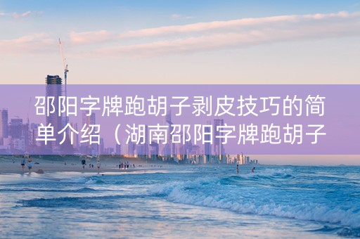 邵阳字牌跑胡子剥皮技巧的简单介绍（湖南邵阳字牌跑胡子免费下载）