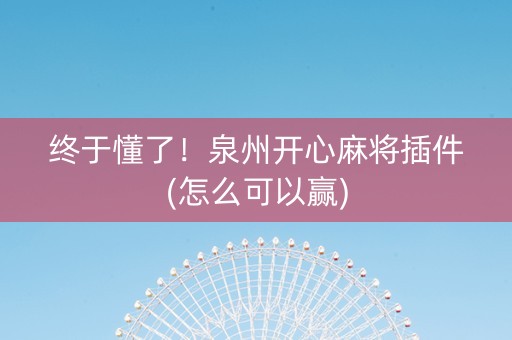 终于懂了！泉州开心麻将插件(怎么可以赢)