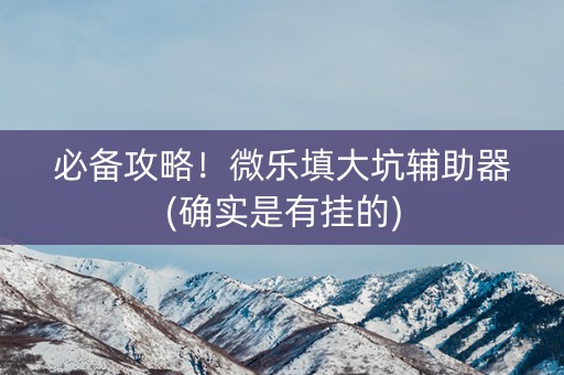 必备攻略！微乐填大坑辅助器(确实是有挂的)