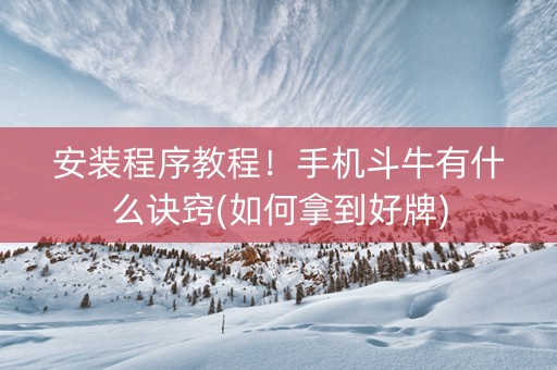 安装程序教程！手机斗牛有什么诀窍(如何拿到好牌)