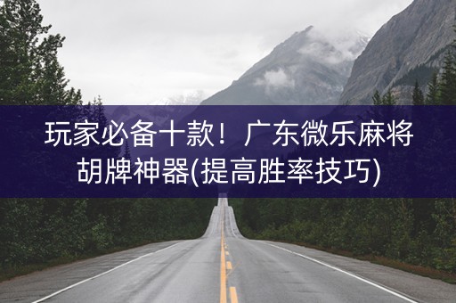 玩家必备十款！广东微乐麻将胡牌神器(提高胜率技巧)