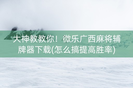 大神教教你！微乐广西麻将辅牌器下载(怎么搞提高胜率)