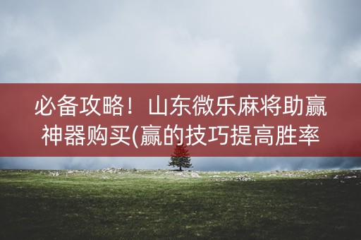必备攻略！山东微乐麻将助赢神器购买(赢的技巧提高胜率)