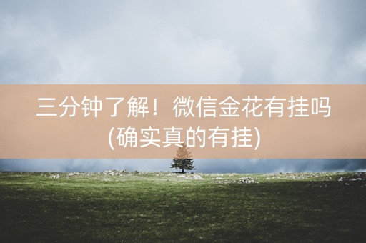 三分钟了解！微信金花有挂吗(确实真的有挂)