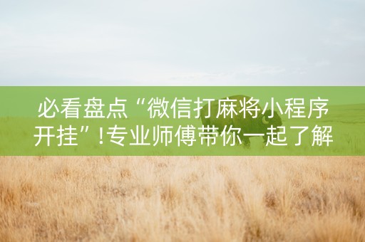 必看盘点“微信打麻将小程序开挂”!专业师傅带你一起了解（详细教程）-知乎