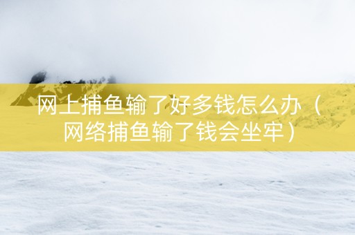 网上捕鱼输了好多钱怎么办（网络捕鱼输了钱会坐牢）
