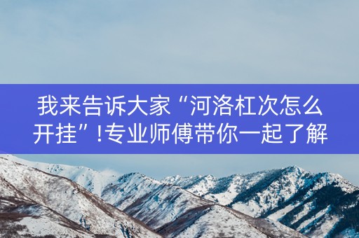我来告诉大家“河洛杠次怎么开挂”!专业师傅带你一起了解（详细教程）-知乎