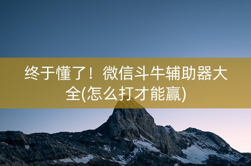 终于懂了！微信斗牛辅助器大全(怎么打才能赢)