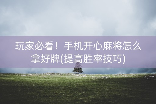 玩家必看！手机开心麻将怎么拿好牌(提高胜率技巧)