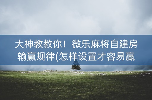 大神教教你！微乐麻将自建房输赢规律(怎样设置才容易赢)