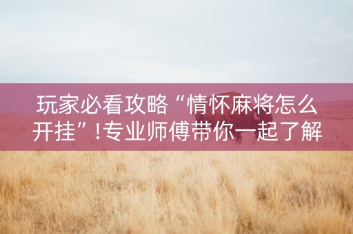 玩家必看攻略“情怀麻将怎么开挂”!专业师傅带你一起了解（详细教程）-知乎