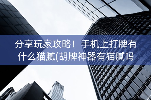分享玩家攻略！手机上打牌有什么猫腻(胡牌神器有猫腻吗)