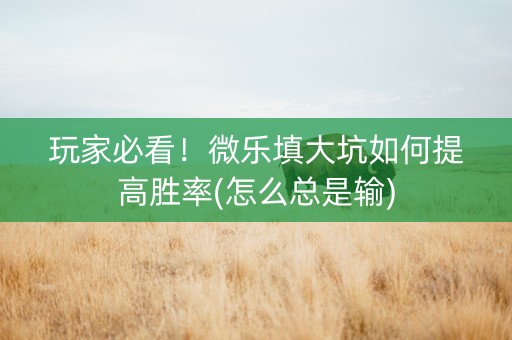 玩家必看！微乐填大坑如何提高胜率(怎么总是输)