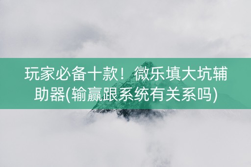 玩家必备十款！微乐填大坑辅助器(输赢跟系统有关系吗)