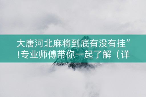 大唐河北麻将到底有没有挂”!专业师傅带你一起了解（详细教程）-知乎