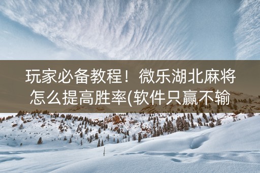 玩家必备教程！微乐湖北麻将怎么提高胜率(软件只赢不输)