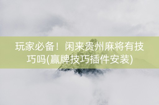 玩家必备！闲来贵州麻将有技巧吗(赢牌技巧插件安装)