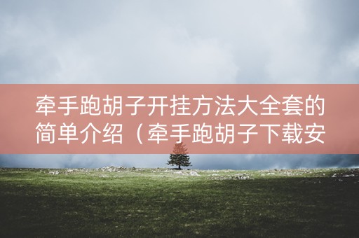 牵手跑胡子开挂方法大全套的简单介绍（牵手跑胡子下载安装）