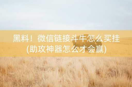 黑料！微信链接斗牛怎么买挂(助攻神器怎么才会赢)