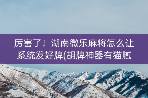 厉害了！湖南微乐麻将怎么让系统发好牌(胡牌神器有猫腻吗)