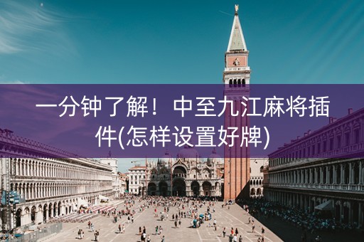 一分钟了解！中至九江麻将插件(怎样设置好牌)