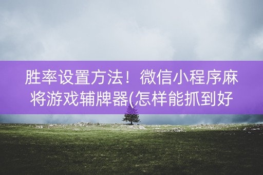 胜率设置方法！微信小程序麻将游戏辅牌器(怎样能抓到好牌)
