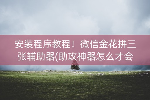 安装程序教程！微信金花拼三张辅助器(助攻神器怎么才会赢)