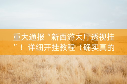 重大通报“新西游大厅透视挂”！详细开挂教程（确实真的有挂)-知乎