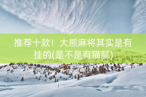 推荐十款！大熊麻将其实是有挂的(是不是有猫腻)