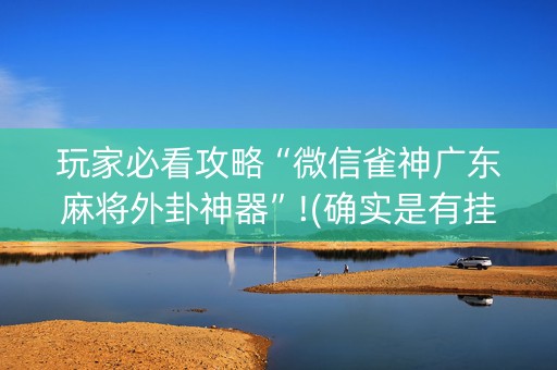 玩家必看攻略“微信雀神广东麻将外卦神器”!(确实是有挂)-知乎