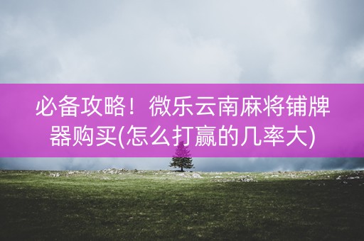 必备攻略！微乐云南麻将铺牌器购买(怎么打赢的几率大)