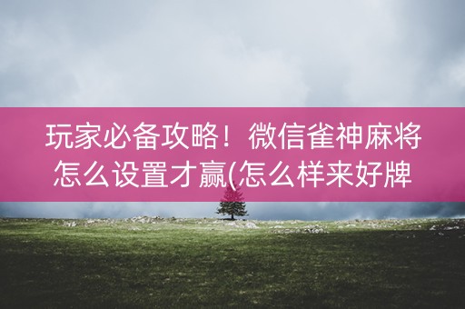 玩家必备攻略！微信雀神麻将怎么设置才赢(怎么样来好牌)