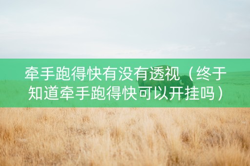 牵手跑得快有没有透视（终于知道牵手跑得快可以开挂吗）