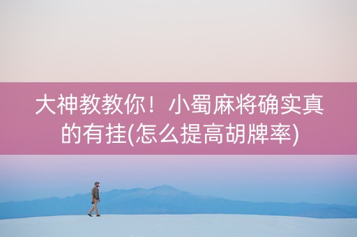 大神教教你！小蜀麻将确实真的有挂(怎么提高胡牌率)