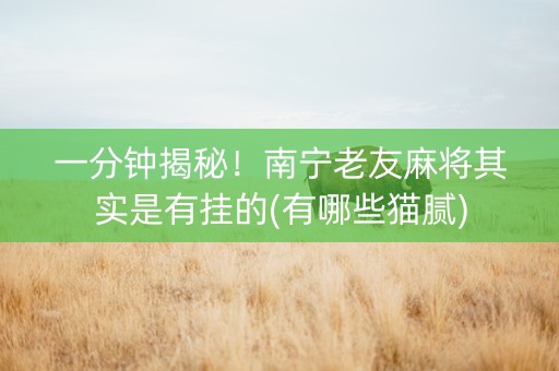 一分钟揭秘！南宁老友麻将其实是有挂的(有哪些猫腻)