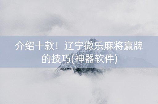 介绍十款！辽宁微乐麻将赢牌的技巧(神器软件)