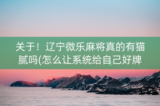 关于！辽宁微乐麻将真的有猫腻吗(怎么让系统给自己好牌)