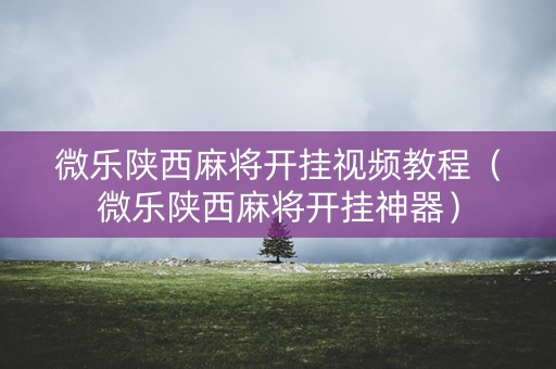 微乐陕西麻将开挂视频教程（微乐陕西麻将开挂神器）