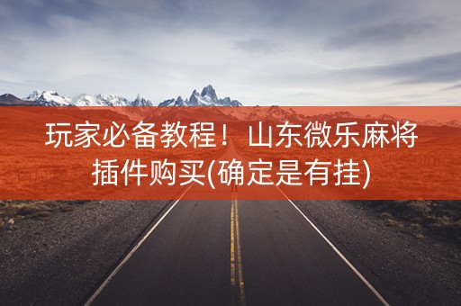 玩家必备教程！山东微乐麻将插件购买(确定是有挂)