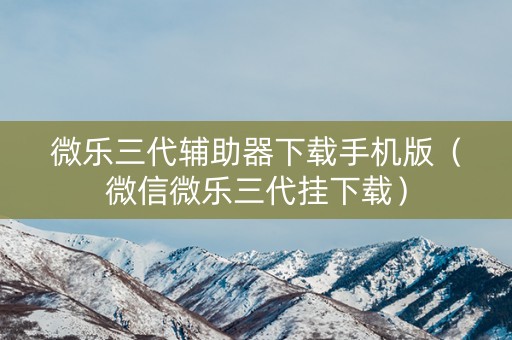 微乐三代辅助器下载手机版（微信微乐三代挂下载）