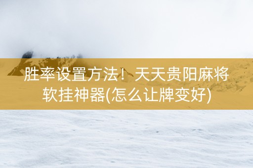 胜率设置方法！天天贵阳麻将软挂神器(怎么让牌变好)