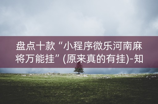 盘点十款“小程序微乐河南麻将万能挂”(原来真的有挂)-知乎